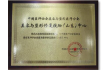 中医协会美容与整形修复援助中心